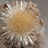 AragonitoLa Serna Quarry (La Tinaja Quarry), La Serna, Pantoja, Comarca La Sagra, Toledo, Castilla-La Mancha, Spain1 cm (Autor: Cesar M. Salvan)