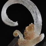 GypsumTaouima, Provincia Nador, Región Oriental, Marruecos5 cm x 5cm (Author: Enrique Llorens)