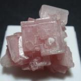 HalitaLago Searles, Desierto de Mojave, Condado San Bernardino, California, USA30x25 mm (Autor: Ignacio)