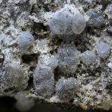 MansfielditaMina Antoñita, Las Muleras, Pozoblanco, Comarca Los Pedroches, Córdoba, Andalucía, EspañaCampo de visión de  5 mm. (Autor: Antonio Carmona)