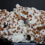 Spessartina, Cuarzo, MoscovitaSavda, Sawade Pr Chandsar, Jalgaon District, Nashik Division, Maharashtra, India130 x 70 mm. (Autor: Joaquin Blanco Cortina)