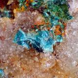 RosasitaSanta Bárbara Mine, San José, Níjar, Comarca Metropolitana de Almería, Almería, Andalusia, SpainCampo de visión 4 mm. (Autor: Antonio P. López)