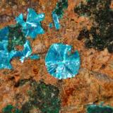 SampleítaEndeavour 26 ore body; Northparkes Mine, Kennedy County, New South Wales, AustraliaCampo de visión 3 cm. (Autor: Antonio P. López)