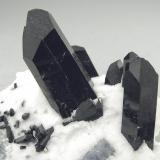 Neptunite on NatroliteMina California State Gem (Benitoite Gem Mine), zona cabecera Río San Benito, Pico Santa Rita, Distrito New Idria, Condado San Benito, California, USAmain crystal size: 1.6 × 0.7 cm (Author: Jordi Fabre)