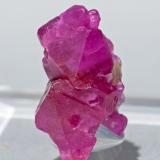 Corundum (variety ruby)Mina Jagdalek, zona Jagdalek, Distrito Surobi, Provincia Kabul, Afganistán1.5 × 0.8 × 1.1 cm (Author: Jordi Fabre)
