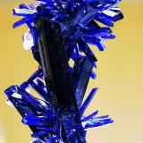 AzuriteKerrouchen, Provincia Khénifra, Región Beni Mellal-Khenifra, Marruecos2cmx3,5cm (Author: Enrique Llorens)