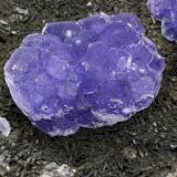 Fluorita y MoscovitaMinas da Panasqueira, Aldeia de São Francisco de Assis, Covilhã, Castelo Branco, Cova da Beira, Región Centro, Portugal (Autor: castrominerals)