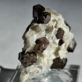 Grossular<br />Sierra de las Cruces, Sierra Mojada mining district, Municipio Sierra Mojada, Coahuila (Coahuila de Zaragoza), Mexico<br />2,5 x 2,5 cm<br /> (Author: Volkmar Stingl)