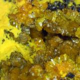 Curienita, FrancevillitaMina Mounana, Franceville, Provincia Haut-Ogooué, GabónCampo de visión 7 mm. (Autor: Antonio P. López)