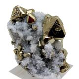 Pirita, Cuarzo<br />Mina Huanzala, Distrito Huallanca, Provincia Dos de Mayo, Departamento Huánuco, Perú<br />61 mm x 41 mm. Cristal principal: 20 mm. Masa: 125 g<br /> (Autor: Carles Millan)