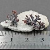 Copper, calciteBisbee, Distrito Warren, Montes Mule, Condado Cochise, Arizona, USASpecimen size 3,5 cm (Author: Tobi)