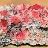 Rhodochrosite, Quartz<br />Sweet Home Mine, Hedgehog pocket, Main Stope drift, Mount Bross, Alma District, Park County, Colorado, USA<br />91mm x 57 mm x 45 mm - Main crystal: 10 mm on edge - Mass: 254<br /> (Author: Carles Millan)