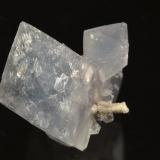 CelestineCantera Meckley's, Mandata, Condado Northumberland, Pennsylvania, USA2.9 x 2.8 cm (Author: Michael Shaw)