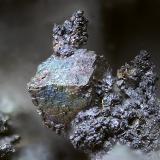 BornitaLas Cruces Mine, Gerena-Guillena-Salteras, Comarca Sierra Norte, Seville, Andalusia, SpainCampo de visión de  3 mm. (Autor: Antonio Carmona)