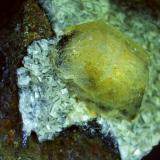 Gmelinite-Na<br />Little Deerpark Quarry, Glenarm, County Antrim, Northern Ireland / United Kingdom<br />3 x 1,5 cm<br /> (Author: Volkmar Stingl)