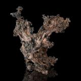 Silver partially covered with AcanthiteKongsberg mining district, Kongsberg, Norway13.5 x 10 x 11.5 cm (Author: MIM Museum)