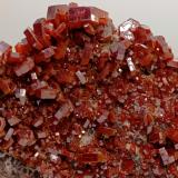 Vanadinita.<br />Zona mina ACF, distrito minero Mibladen, Mibladen, Midelt, Provincia Midelt, Región Drâa-Tafilalet, Marruecos<br />8x5 cm<br /> (Autor: AntonioJesus)