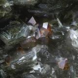 AnatasaLa Alcazaba, Adra, Comarca Poniente Almeriense, Almería, Andalucía, EspañaCampo de visión de  1 mm. (Autor: Antonio Carmona)