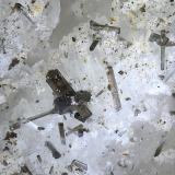 Turmalina<br />Yacimiento Trascastillo, Trascastillo, Cártama, Comarca Valle del Guadalhorce, Málaga, Andalucía, España<br />Campo de visión de  2 mm.<br /> (Autor: Antonio Carmona)