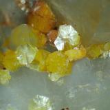 Moscovita, Cuarzo<br />Grupo Minero San Nicolás (Mina San Nicolás), Valle de la Serena, Comarca La Serena, Badajoz, Extremadura, España<br />Campo de visión 4 mm.<br /> (Autor: Antonio P. López)