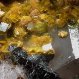 Grupo de la farmacosideritaPermiso de Investigación Nicolasita, Hortales, Dos Torres, Comarca Los Pedroches, Córdoba, Andalucía, EspañaCampo de visión de  1 mm. (Autor: Antonio Carmona)