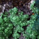 Conicalcita, Cornwallita y azuritaMina Previsión, Barranco de los Cocones, Fiñana, Comarca Los Filabres-Tabernas, Almería, Andalucía, EspañaCampo de visión de  3 mm. (Autor: Antonio Carmona)