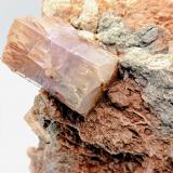 AragonitoAfloramiento del Keuper, Los Yesares, Camporrobles, Comarca Requena-Utiel, Valencia / València, Comunidad Valenciana / Comunitat Valenciana, España10x9cm. (Autor: AntonioJesus)