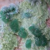 Goldhillita, crisocola y olivenitaMina Trípoli, Barranco del Cura, Huércal de Almería, Comarca Metropolitana de Almería, Almería, Andalucía, EspañaCampo de visión de  3 mm. (Autor: Antonio Carmona)