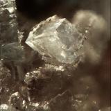 Minrecordita<br />Mina Tsumeb, Tsumeb, Región Otjikoto, Namibia<br /><br /> (Autor: Foro FMF)