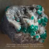 Minrecordita con Dioptasa<br />Mina Tsumeb, Tsumeb, Región Otjikoto, Namibia<br /><br /> (Autor: Foro FMF)