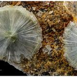 Wavellita<br />Avant, Condado Garland, Arkansas, USA<br />7 mm<br /> (Autor: Pere Alonso)