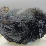 Pirolusita.Cercal, Santiago do Cacém, Distrito Setúbal, Región Área Metropolitana de Lisboa, Portugal8x6 cm. (Autor: AntonioJesus)