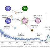 Análisis pro espectrometría gamma de la silvita de Sùria, mostrando la emisión radiactiva del potasio-40 (Autor: Cesar M. Salvan)