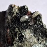 Fluorapatite, Grossular, Chlorite (Group)<br />Becchi delle Curbassere, Val d'Ala, Lanzo Valleys (Valli di Lanzo), Metropolitan City of Turin Province, Piedmont (Piemonte), Italy<br />4,5 x 3 cm<br /> (Author: Volkmar Stingl)