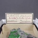 _Etiqueta Deyrolle. (Autor: J. G. Alcolea)