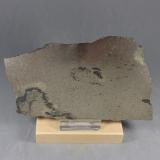 Pirrotita y Pentlandita<br />Mina Hitura, Hitura, Municipio Nivala, Región Ostrobotnia del Norte, Finlandia<br />13,5 x 8 x 0,6 cm.  269 g.<br /> (Autor: J. G. Alcolea)