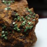 Torbernita<br />Mina Pinhal do Souto, Tragos, Chãs de Tavares, Mangualde, Distrito Viseu, Dão-Lafões, Centro, Portugal<br />25x30 mm<br /> (Autor: Ignacio)