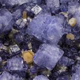Fluorite, Siderite on Quartz<br />Minas da Panasqueira, Aldeia de São Francisco de Assis, Covilhã, Castelo Branco, Cova da Beira, Centro Region, Portugal<br /><br /> (Author: James Catmur)