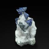 Benitoite<br />California State Gem Mine (Benitoite Gem Mine), San Benito River headwaters area, Santa Rita Peak, New Idria District, San Benito County, California, USA<br />6.4 x 3.4 cm<br /> (Author: am mizunaka)