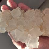 HalitaMina Klodawa, Klodawa, Wielkopolskie, Polonia14 cm (Autor: Cesar M. Salvan)