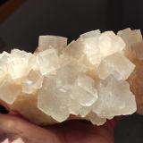 HalitaMina Klodawa, Klodawa, Wielkopolskie, Polonia14 cm (Autor: Cesar M. Salvan)