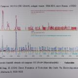 _Análisis Todorokita<br />Mina Nicola, Luni, Provincia La Spezia, Región Liguria, Italia<br />9,5 x 6,5 x 4 cm.<br /> (Autor: J. G. Alcolea)