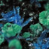 LinaritaMina Terreras, Filón "Terreras", Alto del pozo del Carril, Villanueva del Duque, Comarca Los Pedroches, Córdoba, Andalucía, EspañaFOV 0.5 cm (Autor: Cesar M. Salvan)