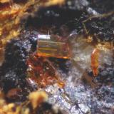 CalderonitaMina Julio, Grupo Minero de Navalespino, Dehesa de Navalespino, Fuente Obejuna, Comarca Valle del Guadiato, Córdoba, Andalucía, Españacristal 1 mm (Autor: Cesar M. Salvan)