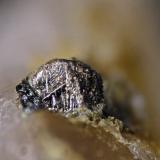 BismutoMina Cogolla Alta, Belalcázar, Comarca Los Pedroches, Córdoba, Andalucía, EspañaCristal 2 mm (Autor: Cesar M. Salvan)