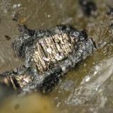BismutoMina Cogolla Alta, Belalcázar, Comarca Los Pedroches, Córdoba, Andalucía, EspañaFOV 1 cm (Autor: Cesar M. Salvan)