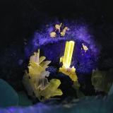 CerusitaCorta San Valentín, Sancti Espíritu, Sierra Minera de Cartagena-La Unión, La Unión, Comarca Campo de Cartagena, Región de Murcia (Murcia), EspañaCristal 2.3 cm (Autor: Cesar M. Salvan)