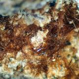 Yuanfuliita<br />Minas Nuestra Señora del Carmen, La Celia, Jumilla, Comarca Altiplano, Región de Murcia (Murcia), España<br />Campo de visión 10 mm.<br /> (Autor: Antonio P. López)