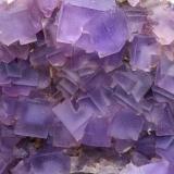 Fluorita<br />Zona minera de Berbes, Berbes, Ribadesella, Comarca del Oriente, Principado de Asturias (Asturias), España<br />21x12 cm<br /> (Autor: AntonioJesus)