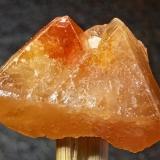 Scheelita<br />Monte Xuebaoding, Pingwu, Prefectura Mianyang, Provincia Sichuan, China<br />2,5 x 1,5 cm.<br /> (Autor: Felipe Abolafia)